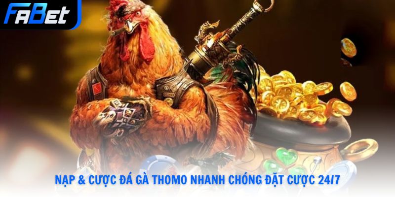 Nạp và cược đá gà Thomo nhanh chóng đặt cược 24/7